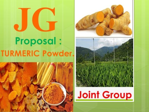 Turmeric powder