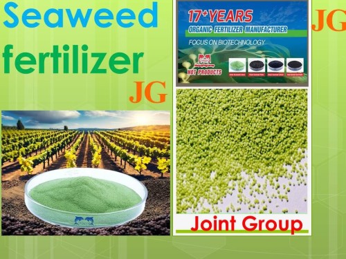Seaweed, Green seaweed Fertilizer