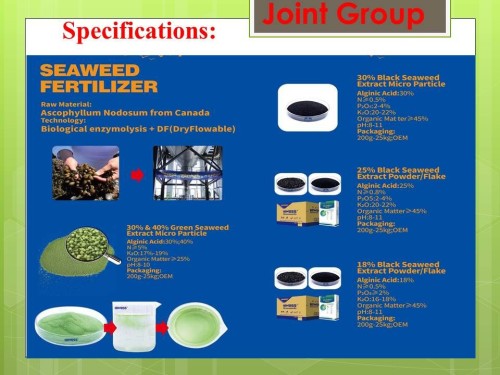Seaweed, Green seaweed Fertilizer