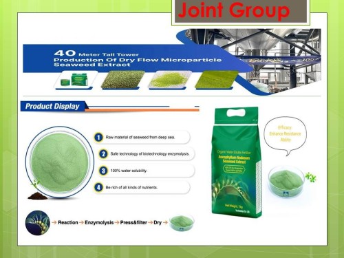 Seaweed, Green seaweed Fertilizer