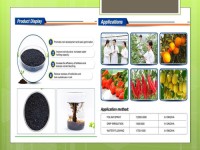 Seaweed, Green seaweed Fertilizer